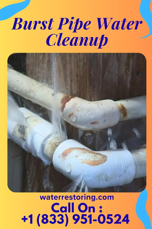 Burst Pipe Water Cleanup in Clay Center, NE
